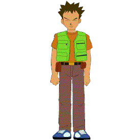 Brock From Pokemon